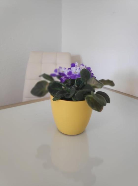 Apartmani Lucica Jezera Exterior foto