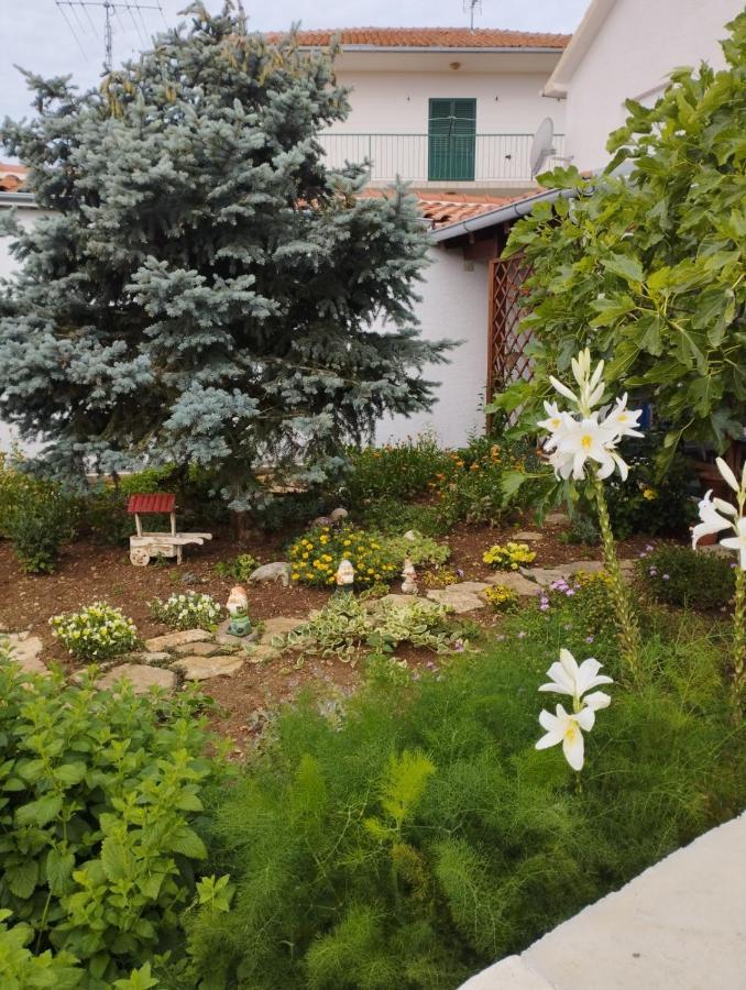 Apartmani Lucica Jezera Exterior foto