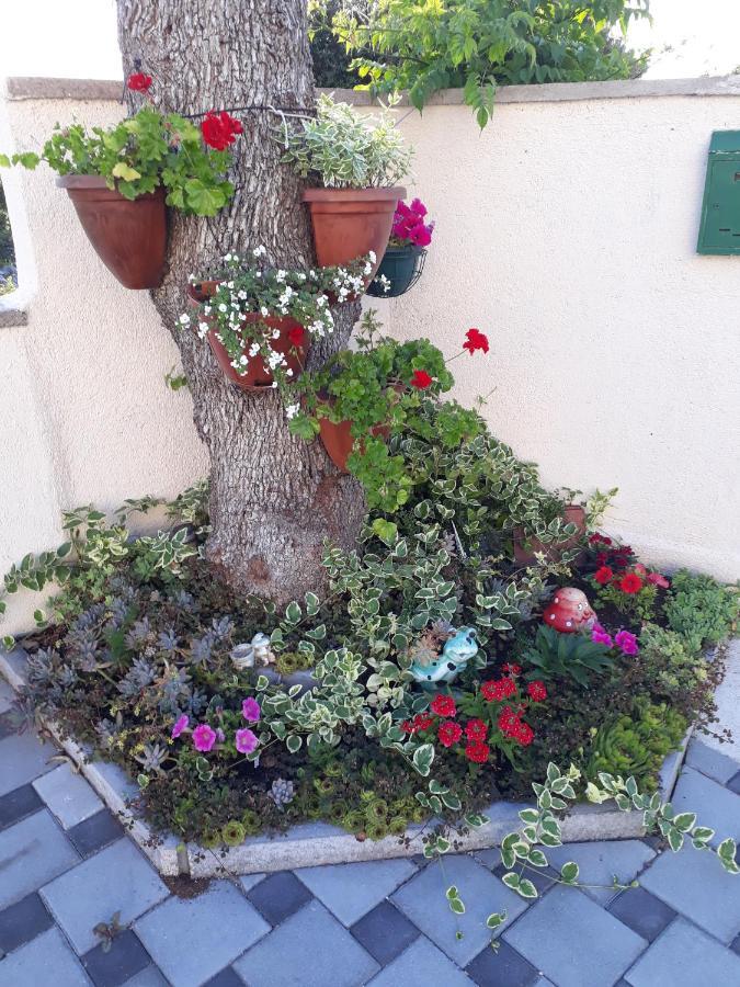 Apartmani Lucica Jezera Exterior foto